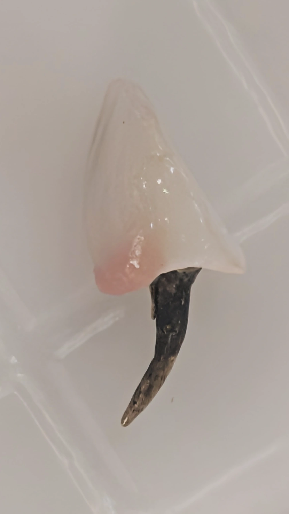 Bent post due to lack of ferrule